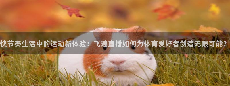 快节奏生活中的运动新体验：飞速直播如何为体育爱好者创造无限可能？