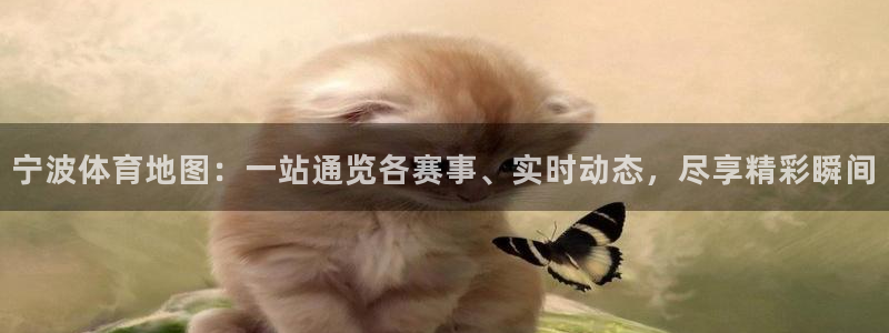 宁波体育地图：一站通览各赛事、实时动态，尽享精彩瞬间