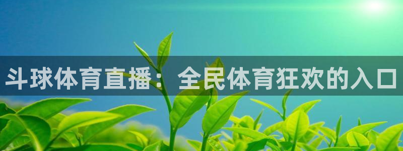 斗球体育直播：全民体育狂欢的入口