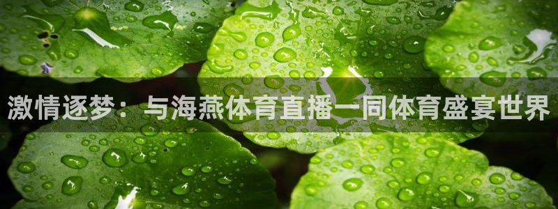 激情逐梦：与海燕体育直播一同体育盛宴世界