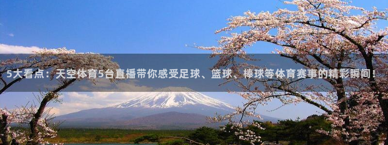 5大看点：天空体育5台直播带你感受足球、篮球、棒球等体育赛事的精彩瞬间！