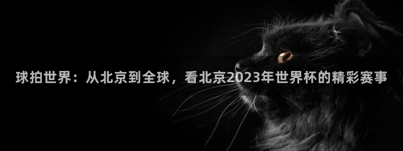 球拍世界：从北京到全球，看北京2023年世界杯的精彩赛事