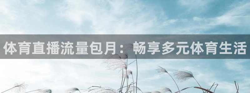 体育直播流量包月：畅享多元体育生活