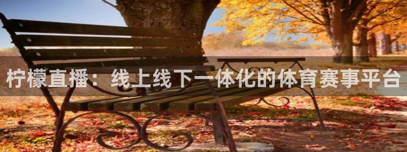 柠檬直播：线上线下一体化的体育赛事平台