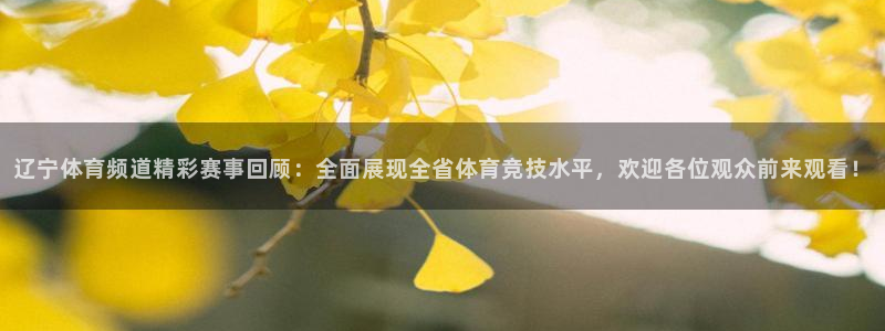 辽宁体育频道精彩赛事回顾：全面展现全省体育竞技水平，欢迎各位观众前来观看！