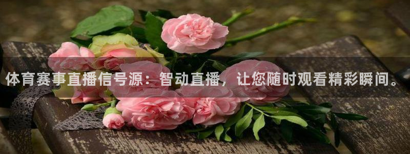 体育赛事直播信号源：智动直播，让您随时观看精彩瞬间。