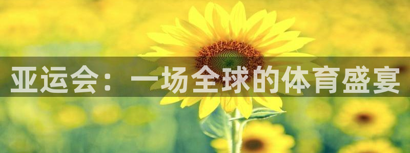 亚运会：一场全球的体育盛宴